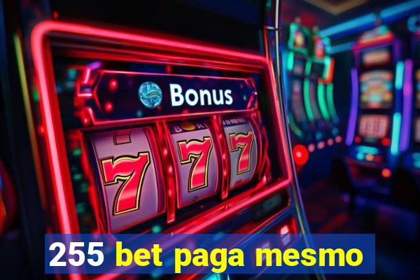 255 bet paga mesmo